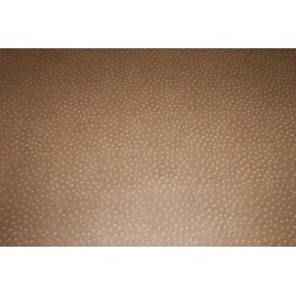 Autruche Marron Clair 70 x 100 cm Autruche Marron Clair 70 x 100 cm