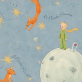 Papier imprimé Le petit Prince 50 x 70cm