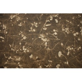 Végétal imprimé fleurs marron clair Végétal imprimé fleurs marron clair
