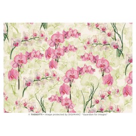 Papier imprimé Orchidées 50x70cm Papier imprimé Orchidées 50x70cm
