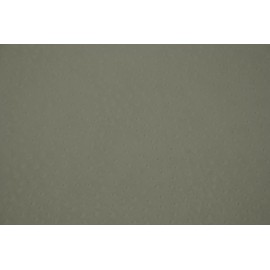 Autruche Gris 70x100 cm Autruche Gris 70x100 cm