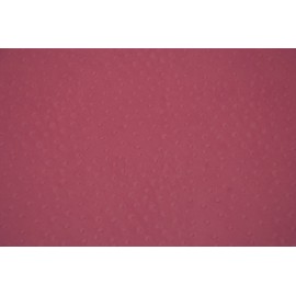 Autruche rose bonbon 50x70 Autruche rose bonbon 50x70
