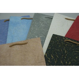 Pochette 10 sacs "Bouteille" assortis Pochette 10 sacs "Bouteille" assortis