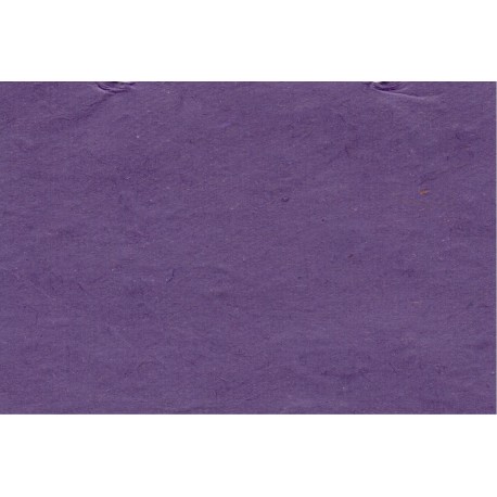Lokta violet