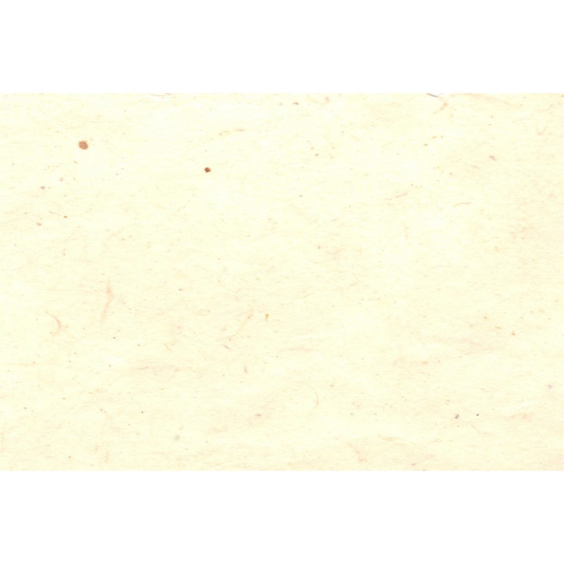 Lot De 100 Feuilles Papier Blanc Lisse A4 250 G/m² - Pour Impression Laser Et Jet D'encre, Qualité Supérieure