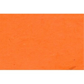 Paquet de 10 feuilles A4 orange