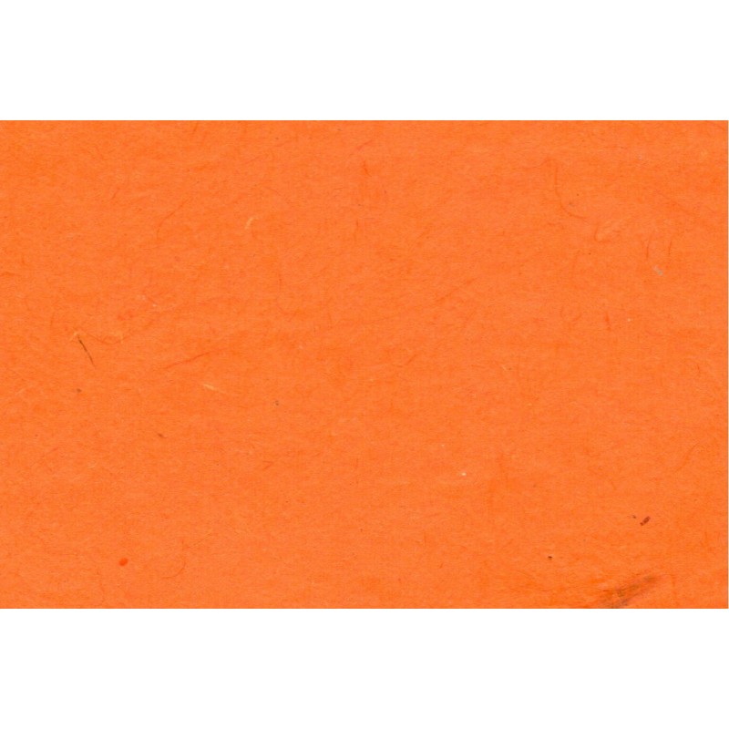 Rame de papier couleur EXCELLES A4 80g 250 Feuilles Orange