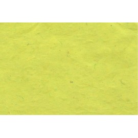 Paquet 10 feuilles A4 vert clair Paquet 10 feuilles A4 vert clair